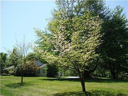 2nd image of 461 Scenic Dr