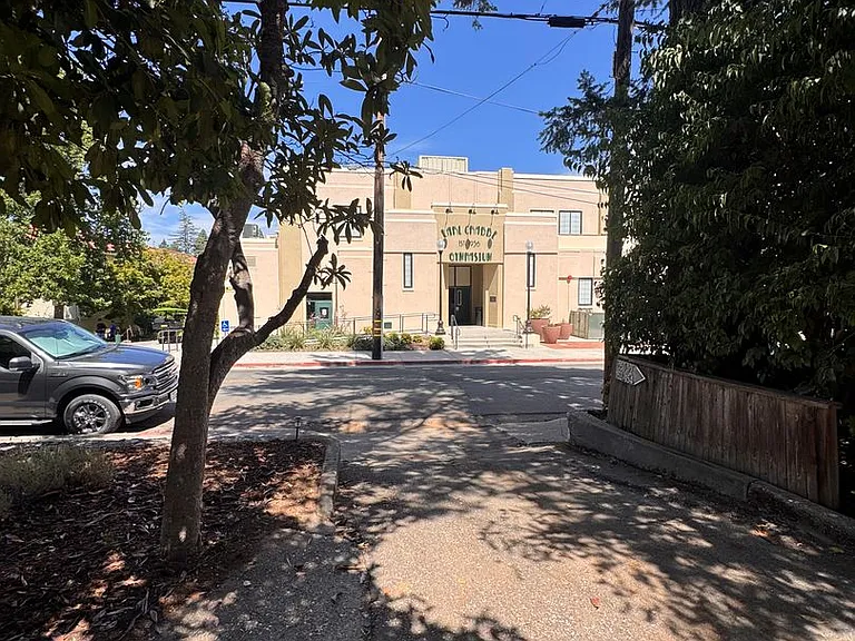 Agard Street — Photo 14