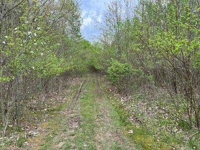 8014 Patterson Ave SE, Caledonia, MI, 49316