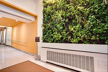 Rented by Oxford Property Group