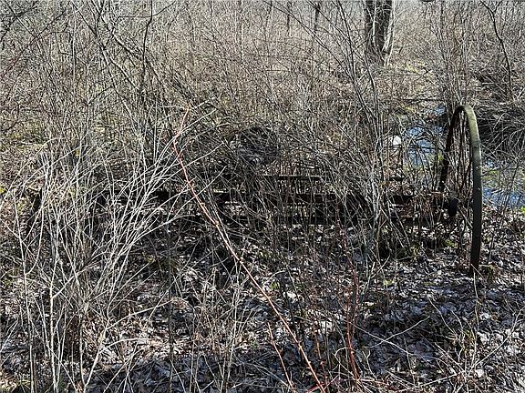 3rd image of 0 Lake Wilhelm Rd