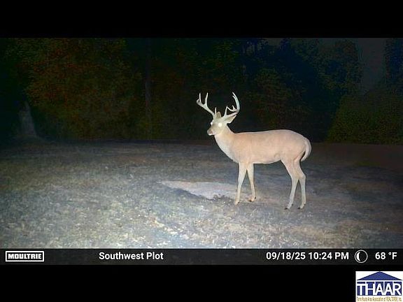 5th image of 11961 Catt Rd