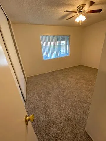 Birches Apartments — Photo 5