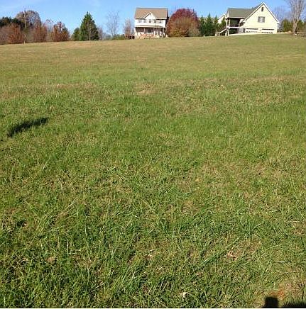 1st image of Kinser Park Ln