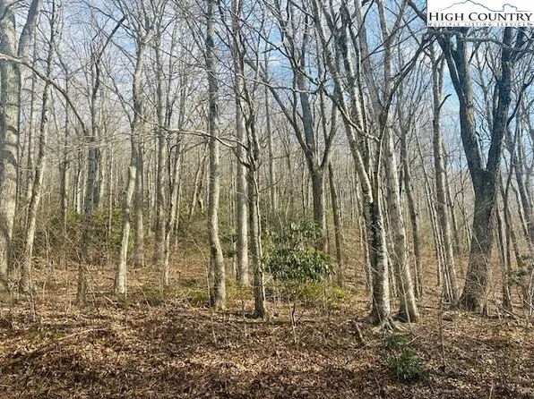 Lot 17 E Mill Creek Rd or Humming Bird Lane, Fleetwood, NC 28626