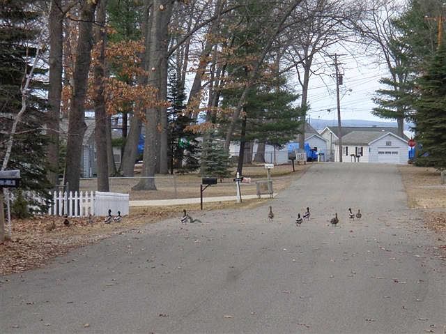 2nd image of Xxx Maple Bluffs