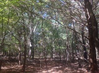 1072 S Cold Springs Rd, Atoka, OK 74525