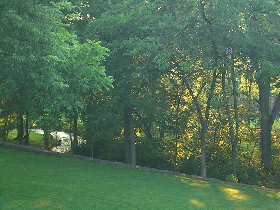 View of one of the creeks in the rear of property