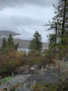 25450 Roosevelt View Dr E, Lincoln, WA, 99147