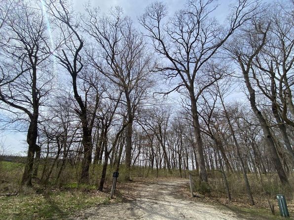 LOT 4 S Knoll Rd, Rochelle, IL 61068