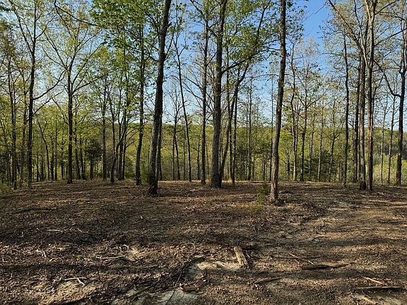 3rd image of 3900 Roan Creek Rd