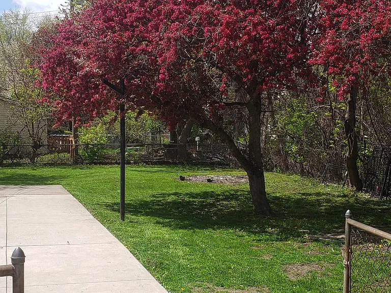 5402 Williams St — Photo 15
