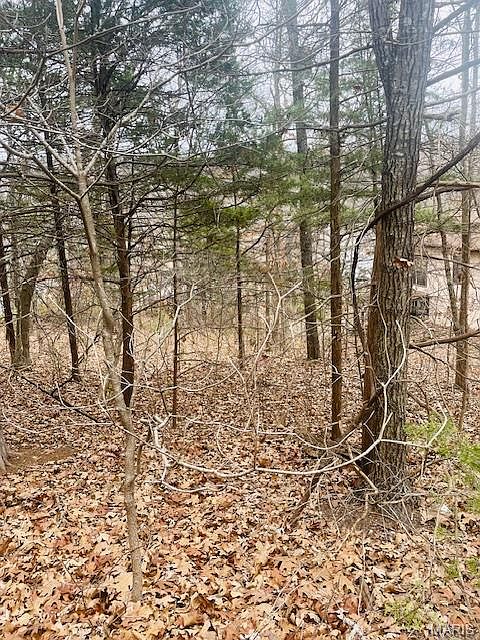 1st image of 0 W Forest Ln