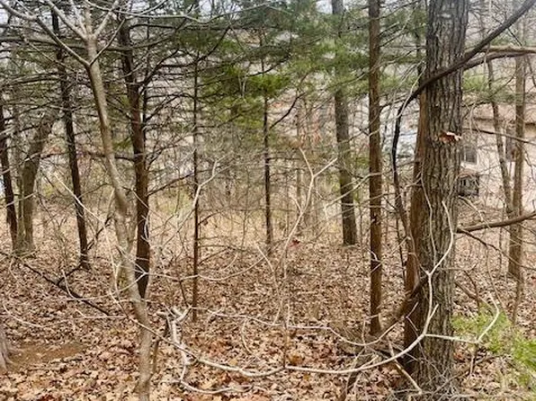 0 W Forest Ln, Owensville, MO 65066