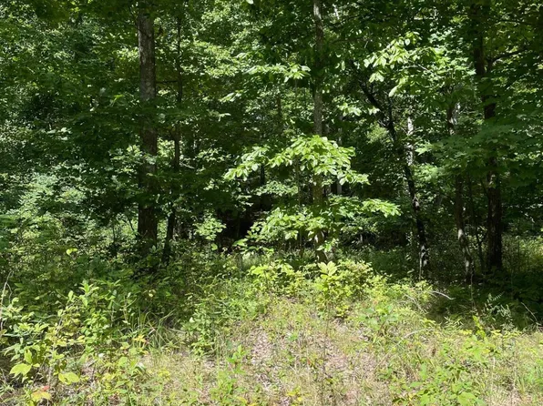 0 Roaring Creek Rd #296, Dunlap, TN 37327