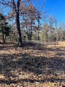 451 Zane Dr, Clarkridge, AR, 72623