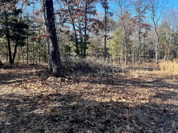 451 Zane Dr, Clarkridge, AR 72623
