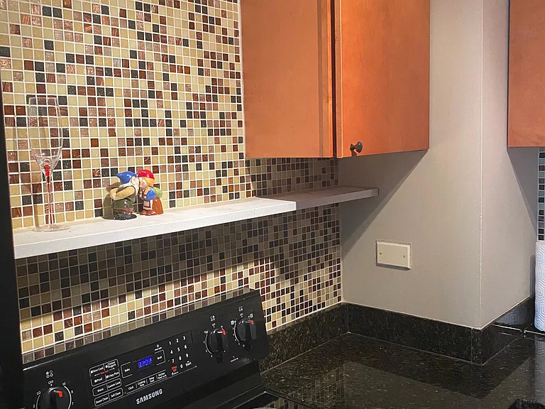 21 W Goethe St #16B — Photo 11