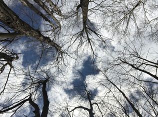 1306 Clubhouse Dr, Lake Isabella, MI 48893