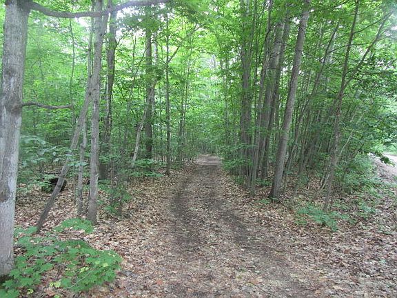 3rd image of Ironwood Dr