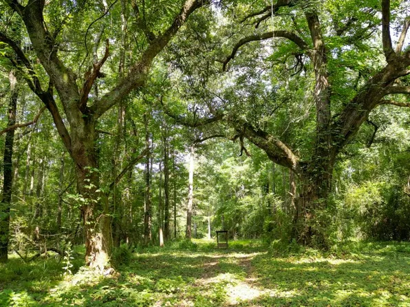 State Highway 587, Foxworth, MS 39483