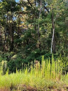 0 Brannon Rd, Pineville, LA, 71360