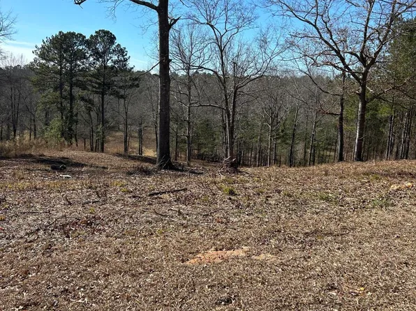 0 Tumbling Shoals Ct Lot 19, Gray, GA 31032
