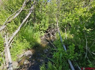 356 Church Creek Drive, South Fork, CO 81154