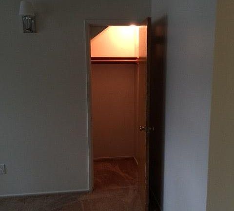 1 of 2 closets in larger bedroom