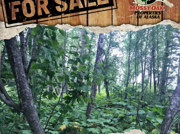 L6-B2 Agate Dr, Kenai, AK 99611