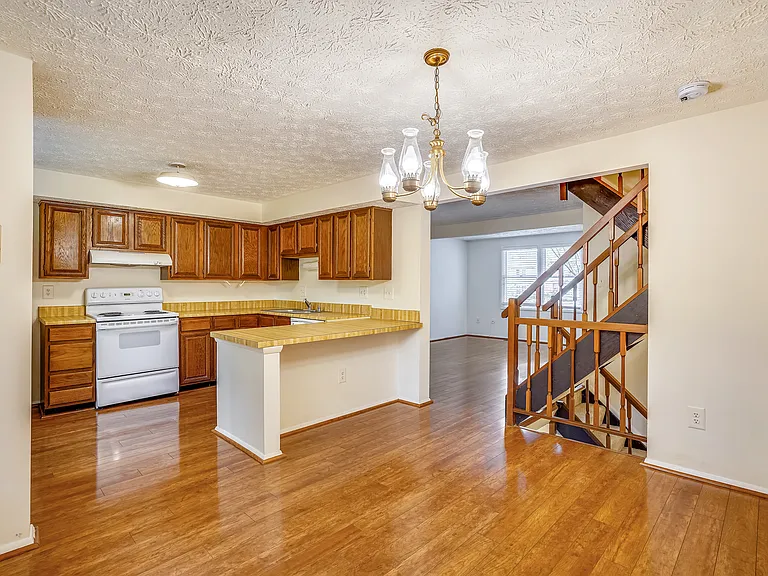 11504 Ivy Bush Ct — Photo 8
