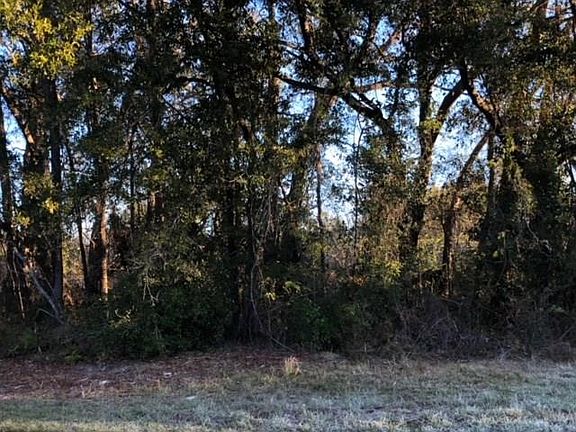 2nd image of 12151 NW Old Fannin Rd