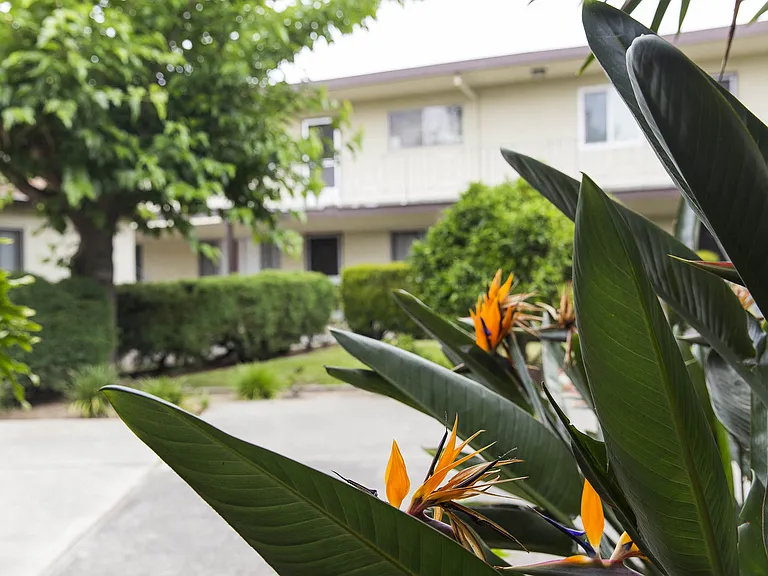 Midway Manor Apts. — Photo 19