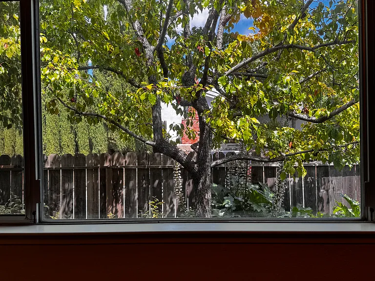 Master Bedroom window