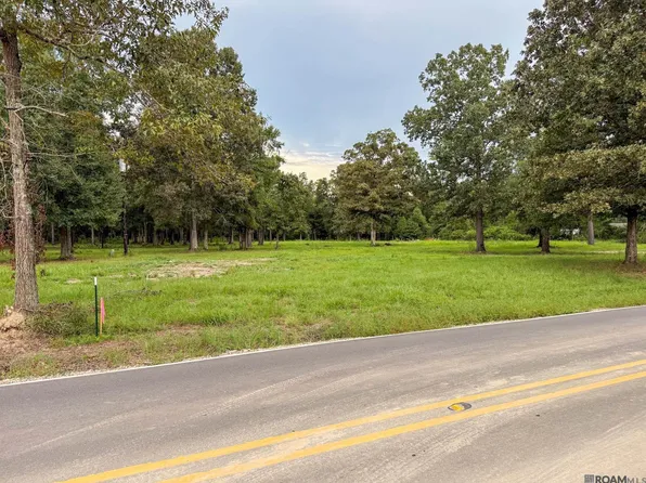 20181 Perrilloux Rd, Livingston, LA 70754