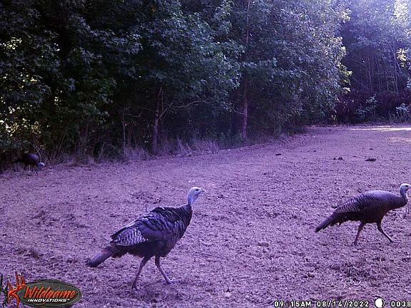 2nd image of 26997 County Road 267
