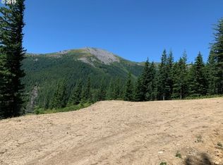 1261 Snag Mountain Rd, --, WA --