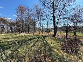 232 Frying Pan Hollow Rd — Photo 31