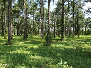 206 Frying Pan Loop Rd, Oriental, NC 28571