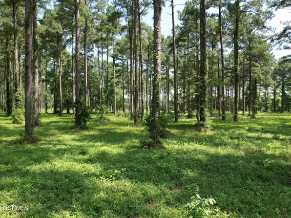 206 Frying Pan Loop Road, Oriental, NC 28571