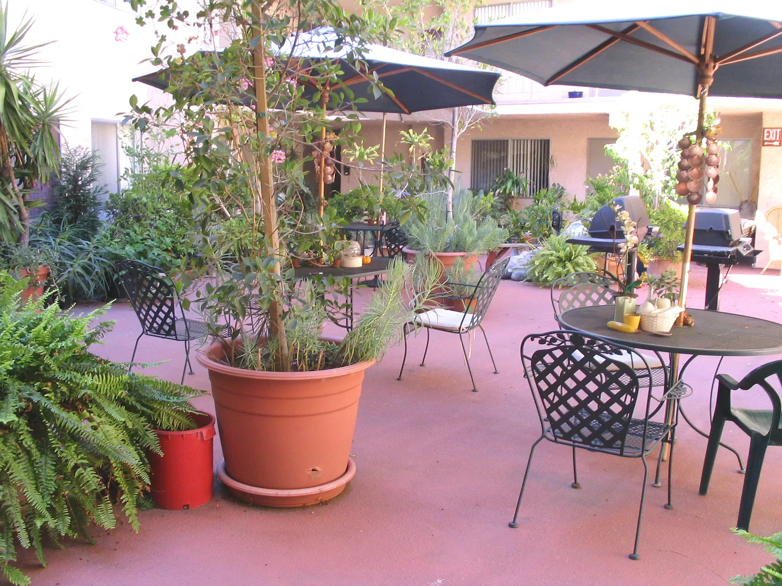 Kling Courtyard Apartments — Photo 2