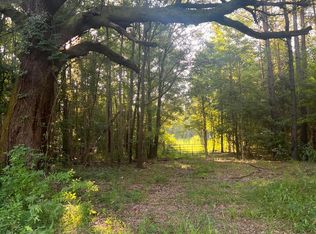 5054 Doctor Taylor Rd, Adams Run, SC 29449