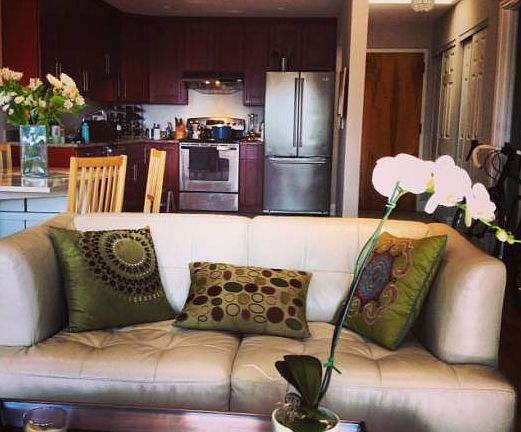 Living / Kitchen