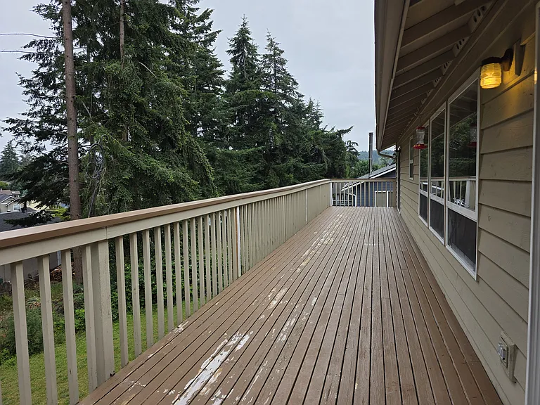 384 Selkirk Dr — Photo 38
