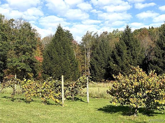 3rd image of 8078 Higgins Rd