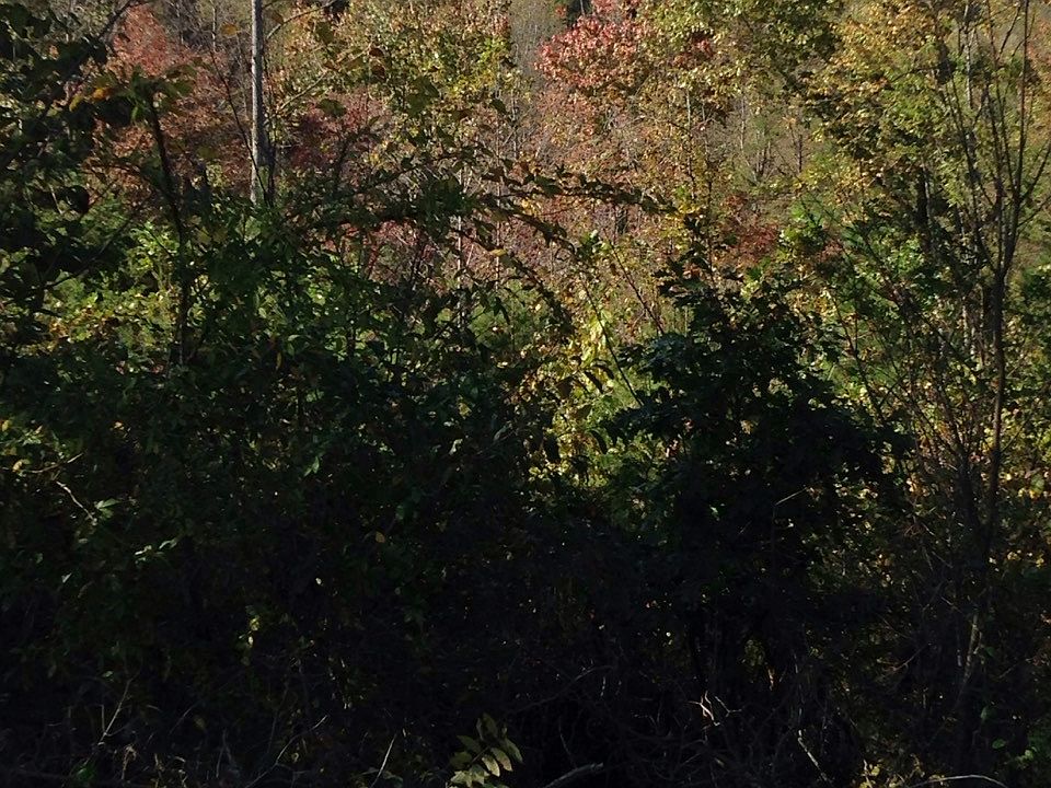 1st image of West Dr