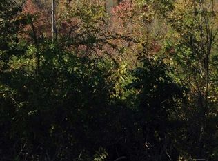 West Dr, Parrottsville, TN 37843