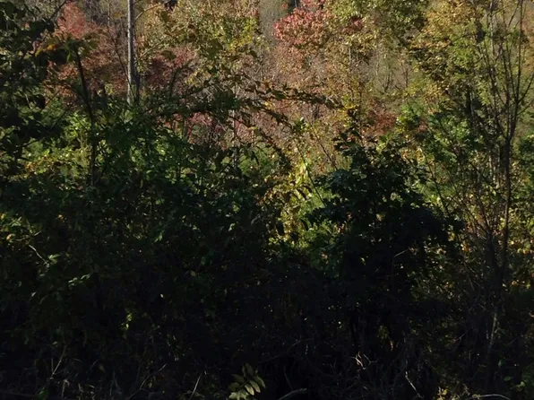 West Dr, Parrottsville, TN 37843