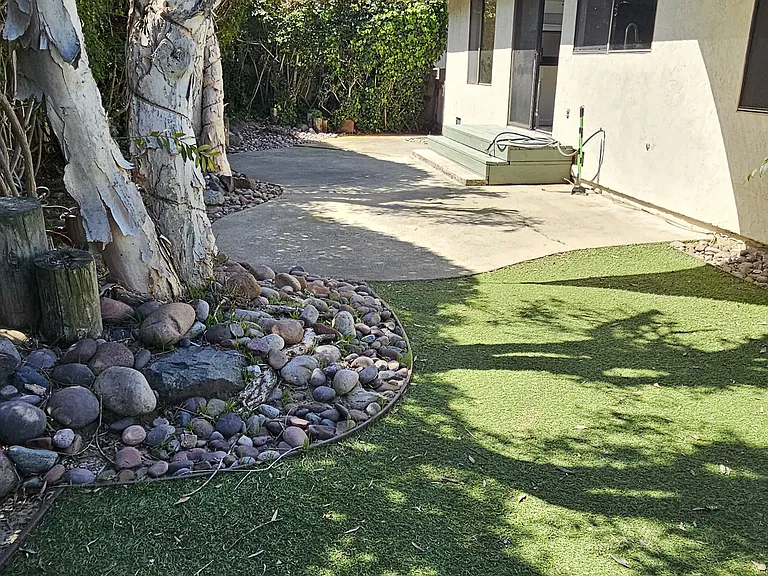 back yard