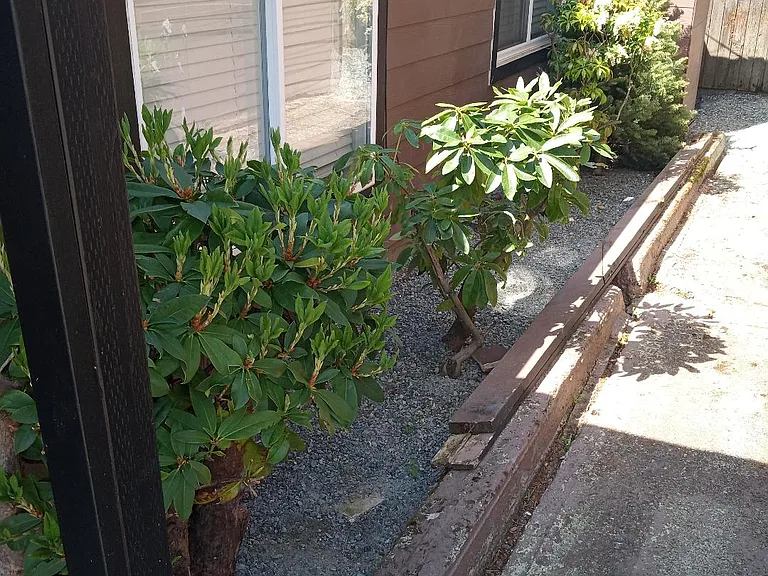 15221 9th Ave SW #A — Photo 8